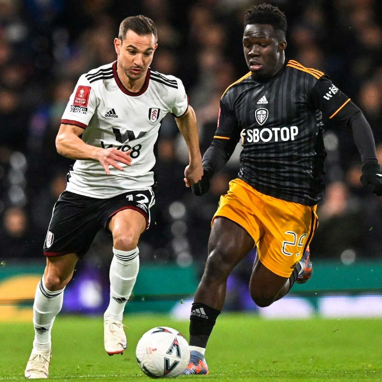 包含富勒姆对阵利兹联：保级大战，谁得胜？的词条